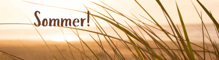 Betriebsferien (Sommer)